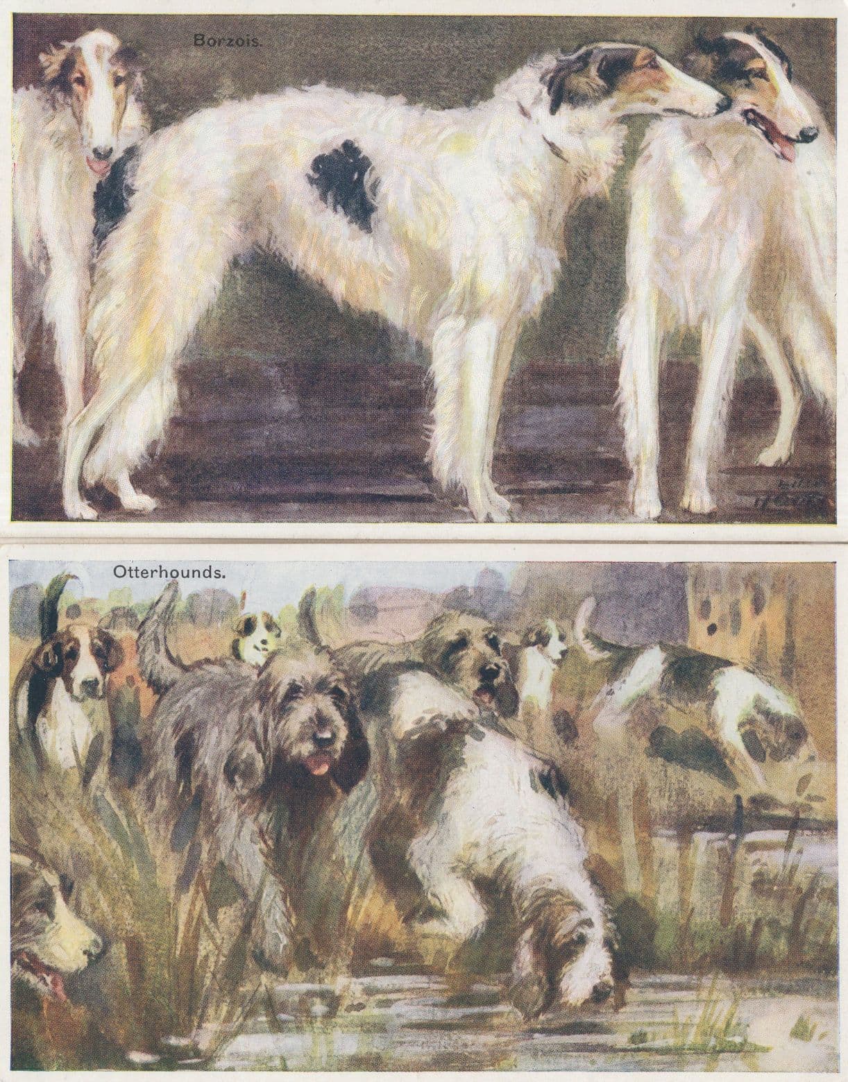 Fox Hunting  Dog Greyhounds Otterhounds 2x Painting Postcard