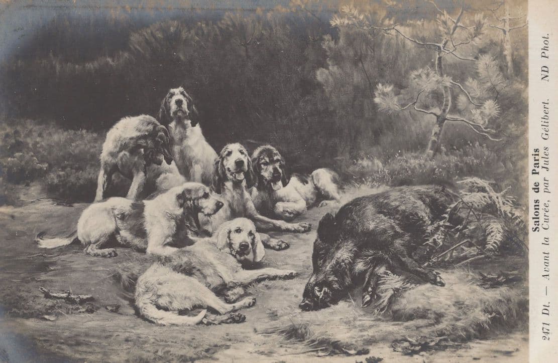 Fox Killed For Dogs To Eat Antique Hunting Painting Postcard