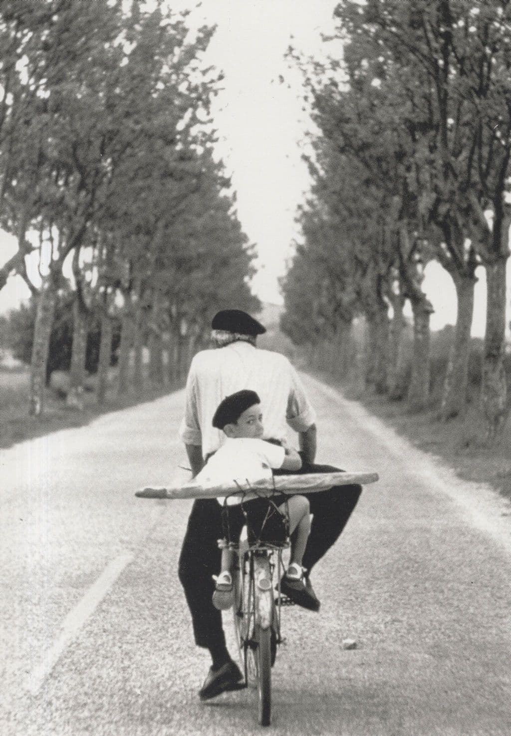 French Bicycle Father & Child France Cycling Postcard