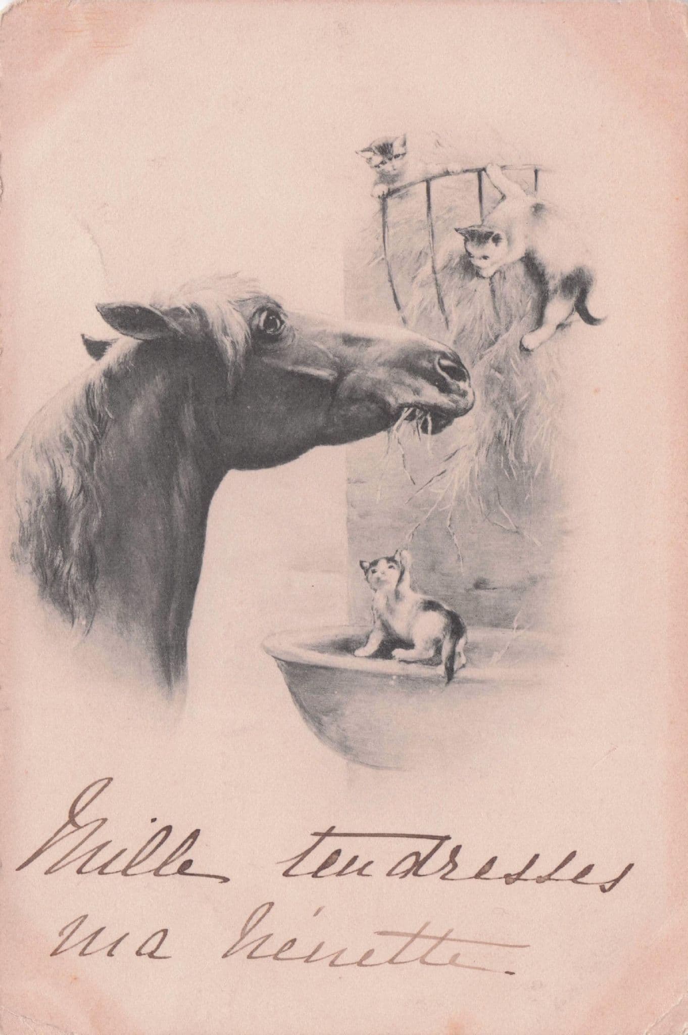 French Horse Rescues Farm Cats Disaster Antique Art Painting Postcard