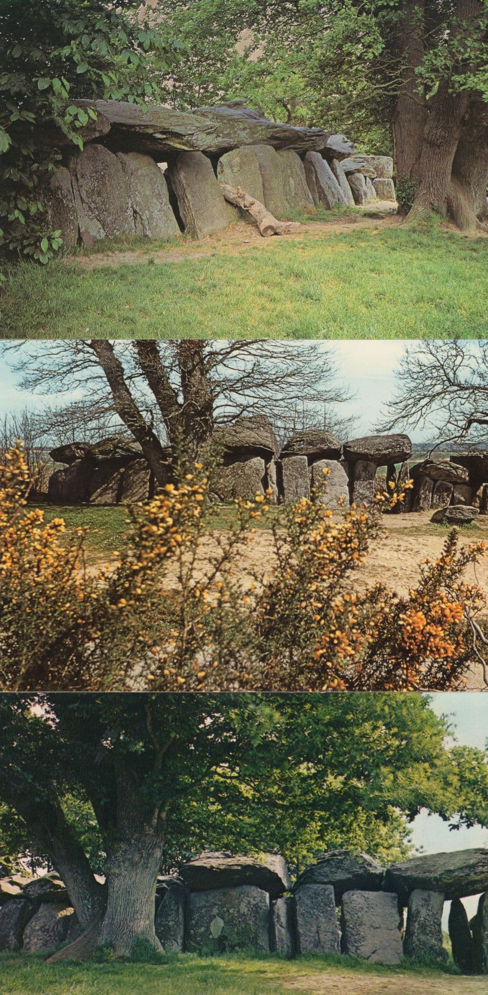 French Mythological Fairy Rocks Stonehenge Roche Aux Fees 3x Postcard s