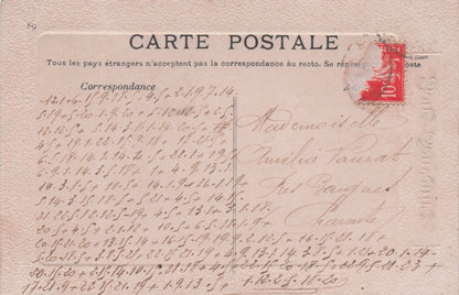 French Souvenirs Pink Roses Secret Code Love Glamour Old Romantic Postcard