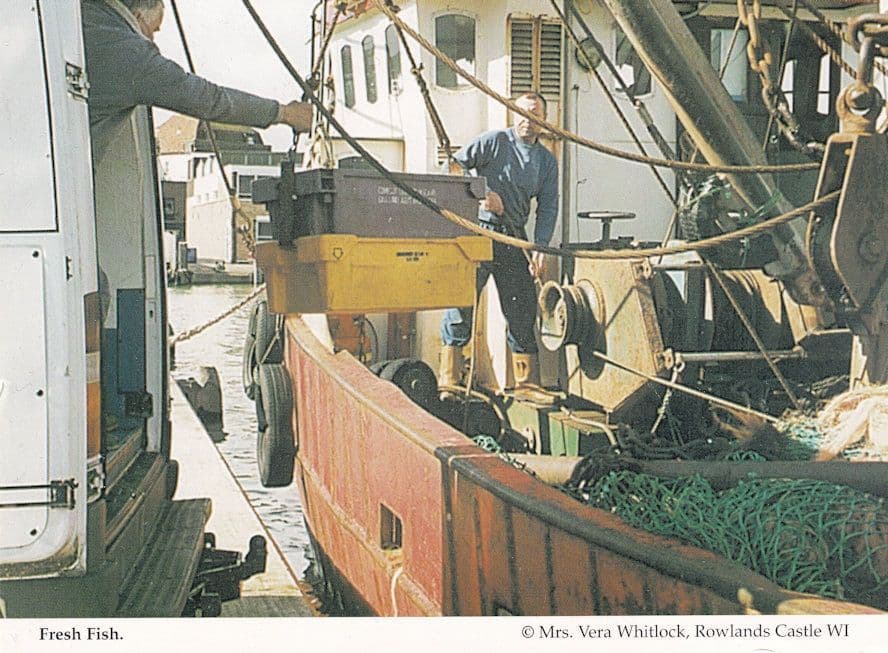 Fresh Fish Unloading Fishing Boats Hampshire Womens Institute Postcard