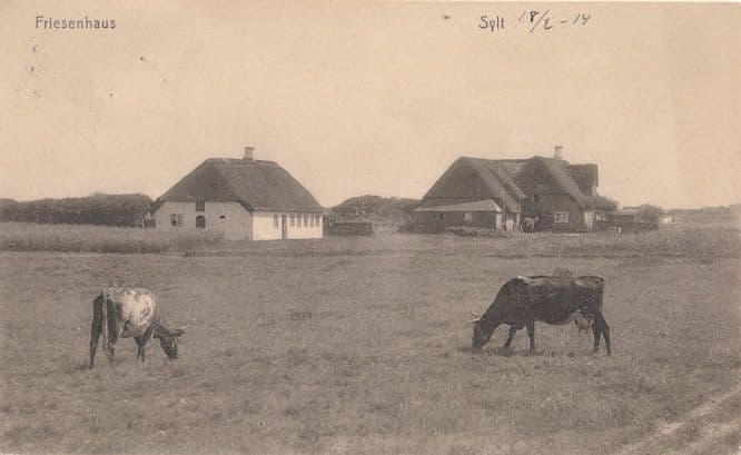 Friesenhaus Germany Old WW1 Postcard