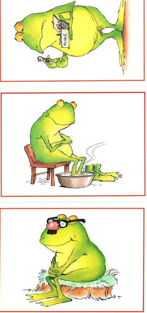 Frog Goes Fishing with Fly Bait Baths 3x Frogs Comic Postcard s