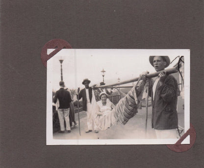 Funchal Madeira Wine Lodge Transport Hammock Trip 2x Old Photo s