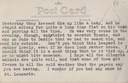 Furious Leopard Tied Chained RPC Postcard & Special Message
