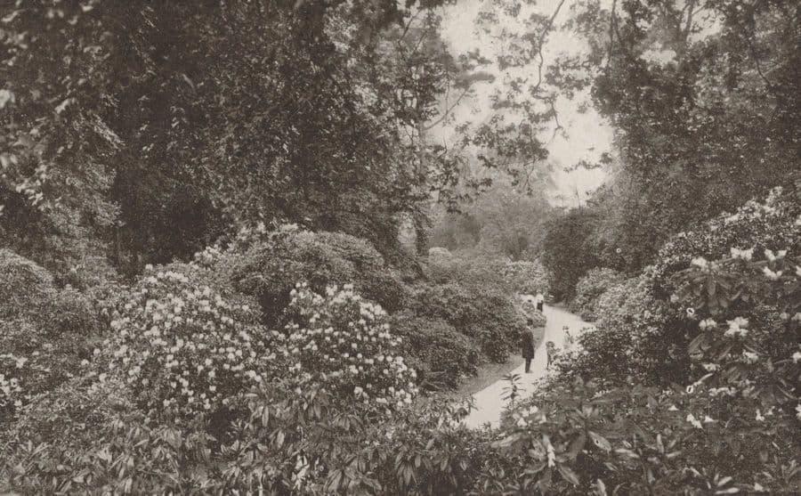 Gale & Polden Military Publishers Kew Gardens London Rare Old Postcard