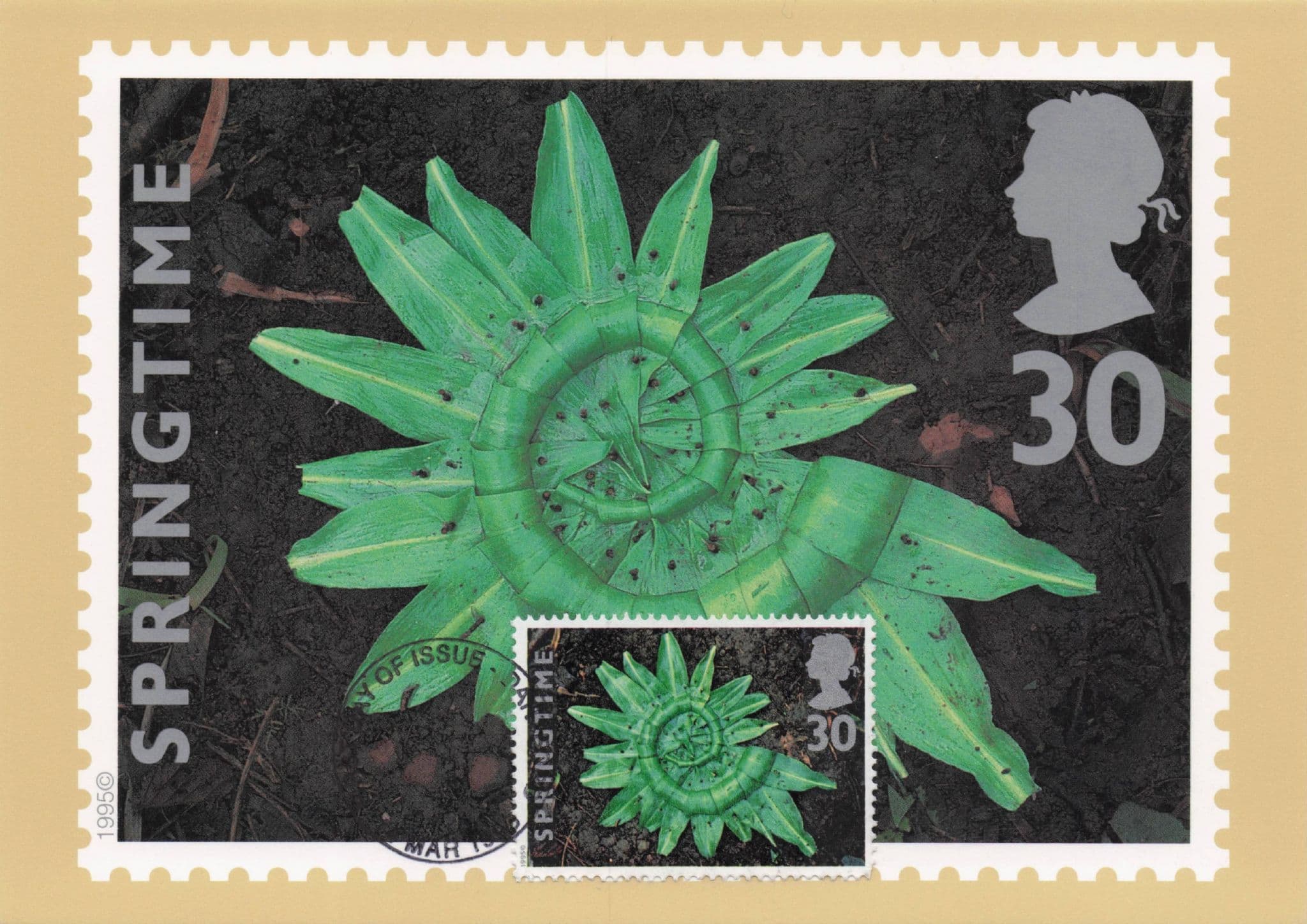 Garlic Leaves Leaf Collection First Day Cover Photo Art Postcard