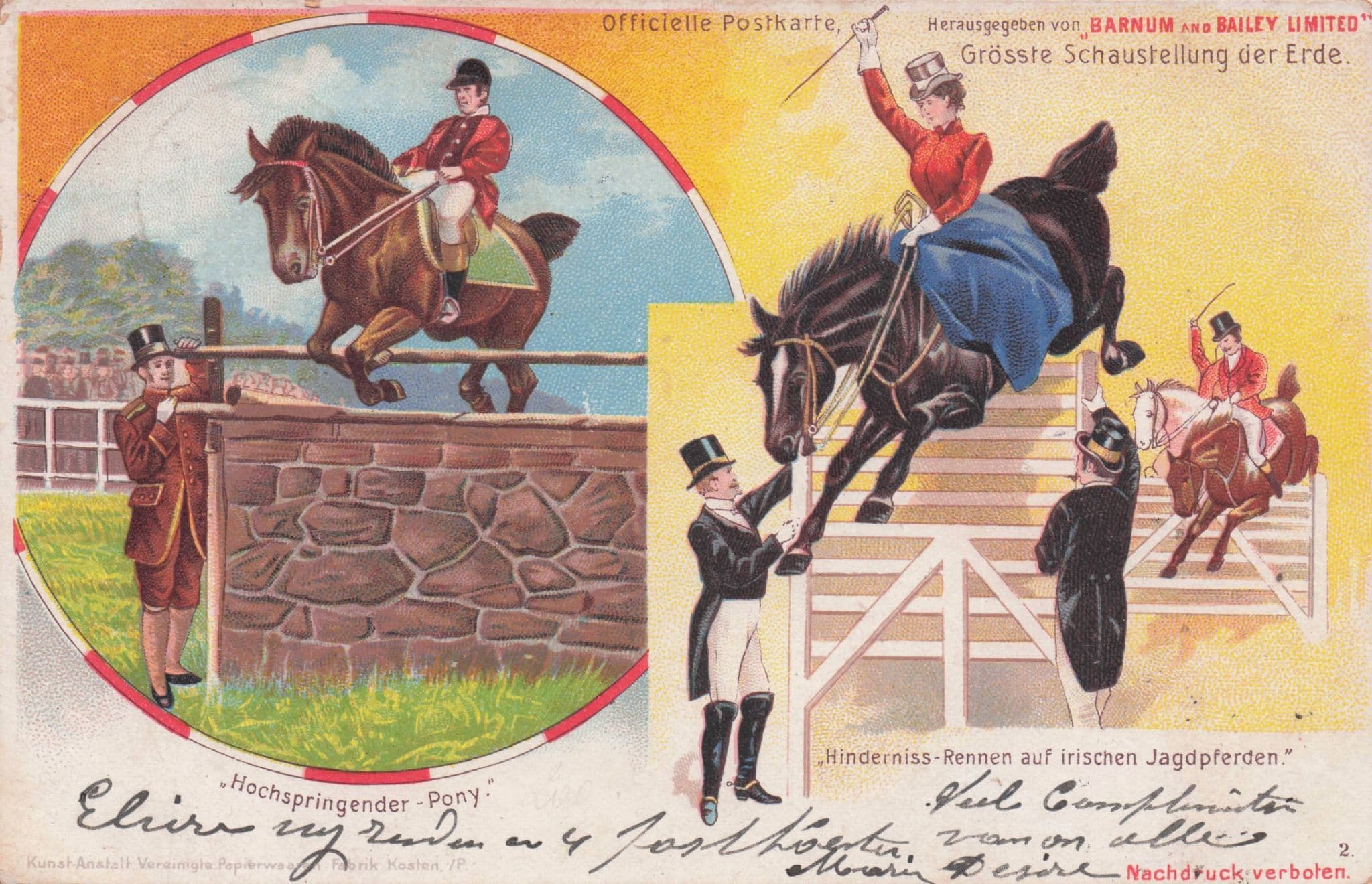 German 1901 Horse Equestrian Circus Show Barnum & Bailey Postcard