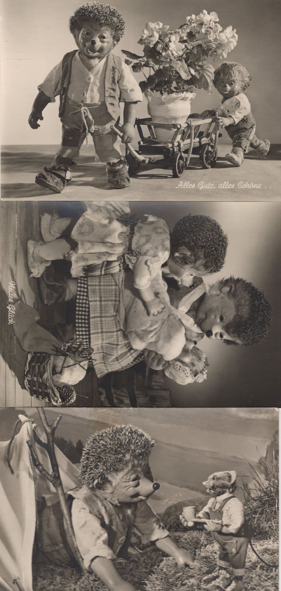 German Hedgehog Wheelbarrow Giant Pipe Smoking 3x Postcard s