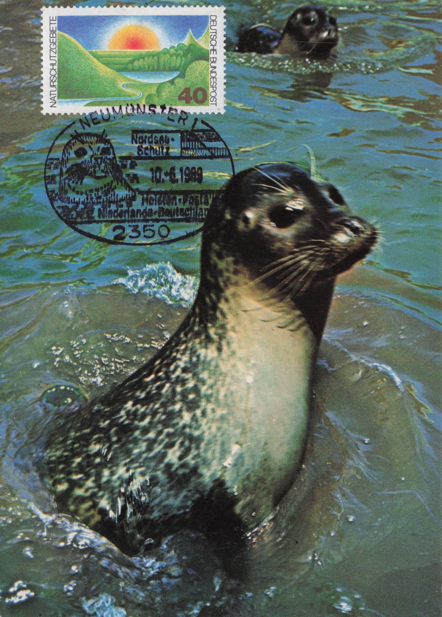 German Seal Otter Sealife Ganz Oben Rare 1980s FDC Map Postcard