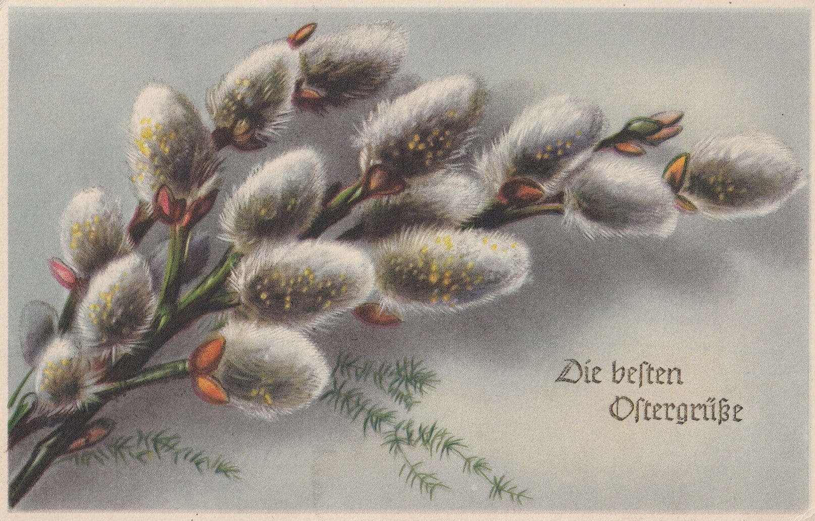 German Thistles Die Befen Oftergrube Greetings Old Postcard