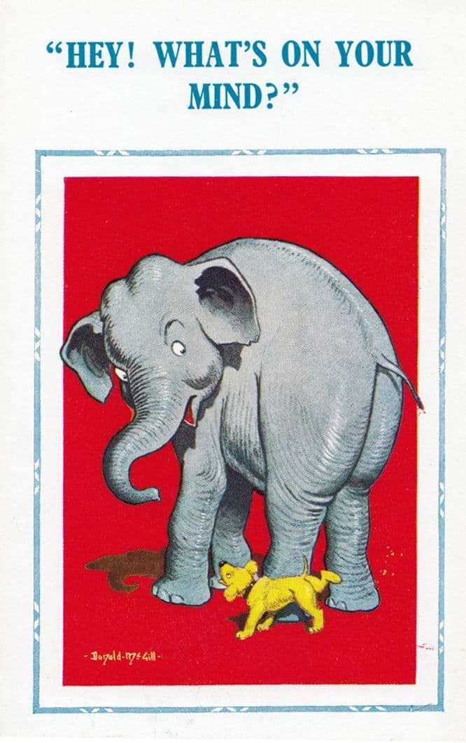 Giant Elephant Almost Treading On Dog Whats On Your Mind Comic Humour Postcard