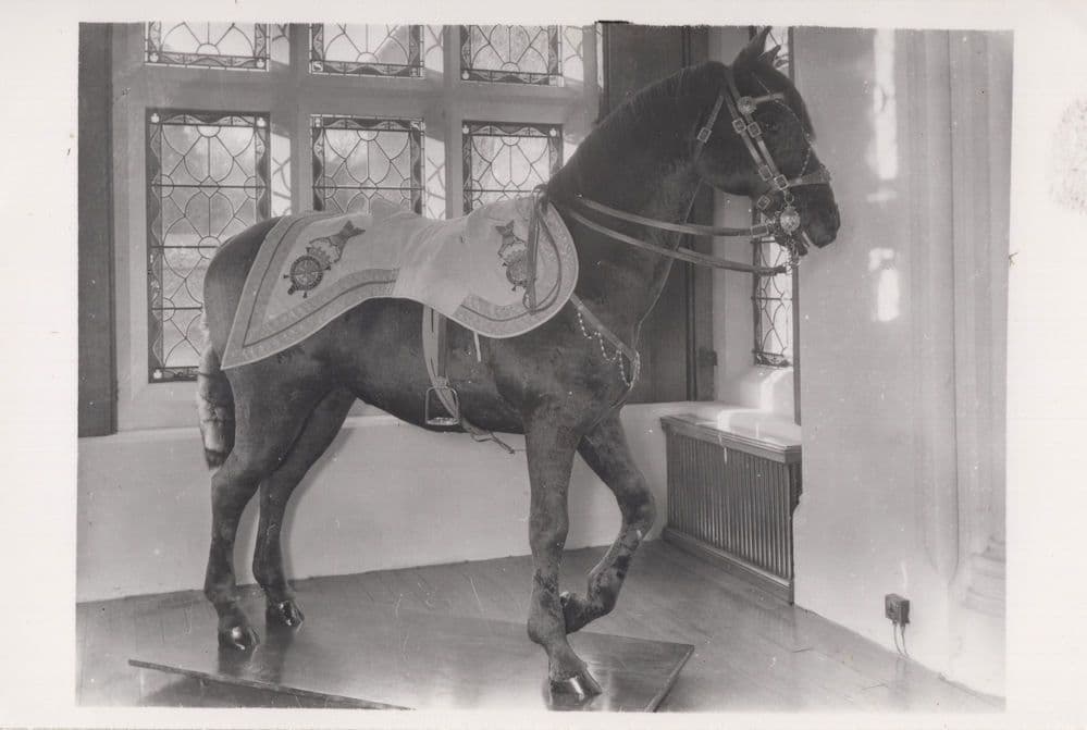 Giant Horse Statue At Exhibition Of Ceremonial Robes Sussex Photo