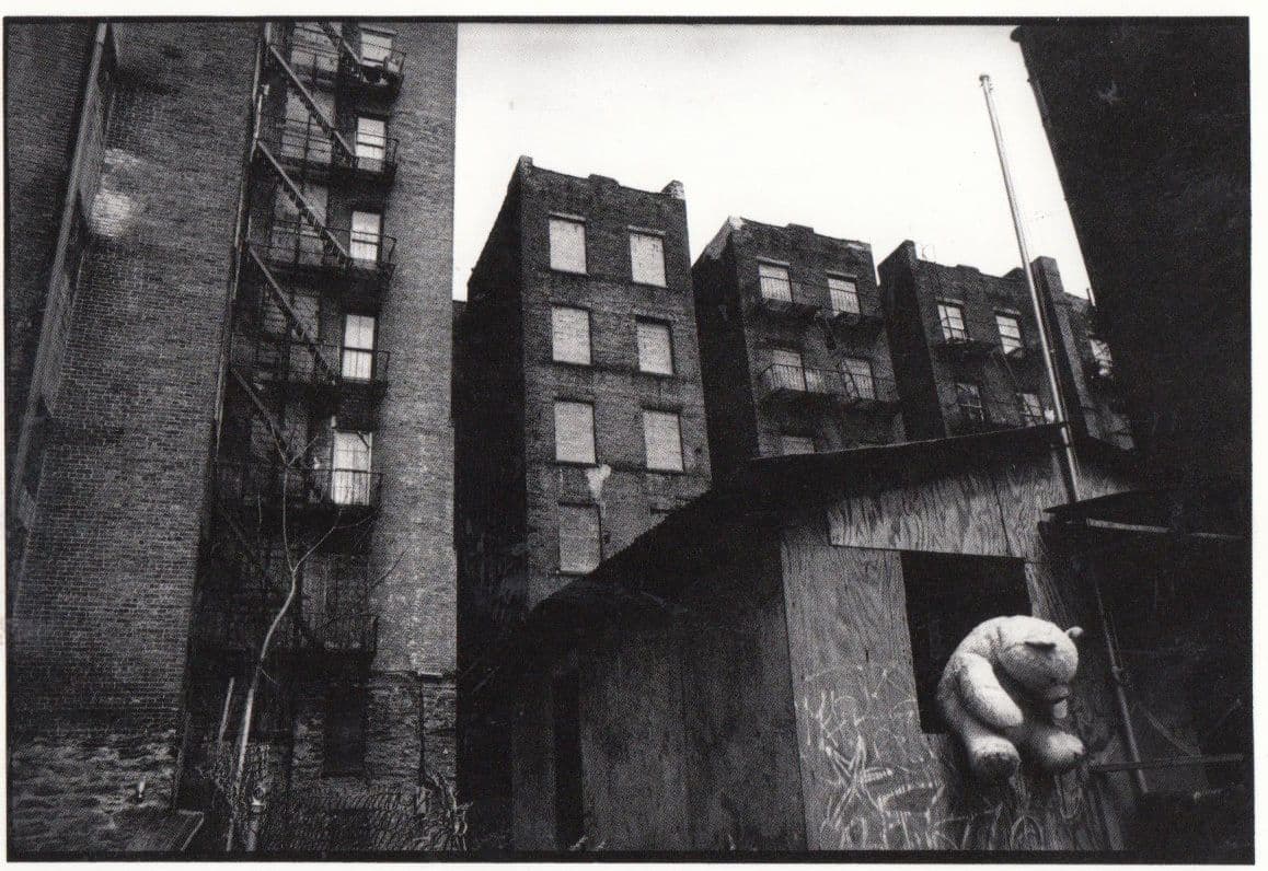 Giant Vandal Vandalised On Toy Teddy Bear in New York 1980s Postcard