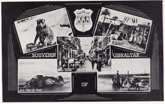 Gibraltar Rock Apes 5 Views Classic Cars Real Photo Postcard
