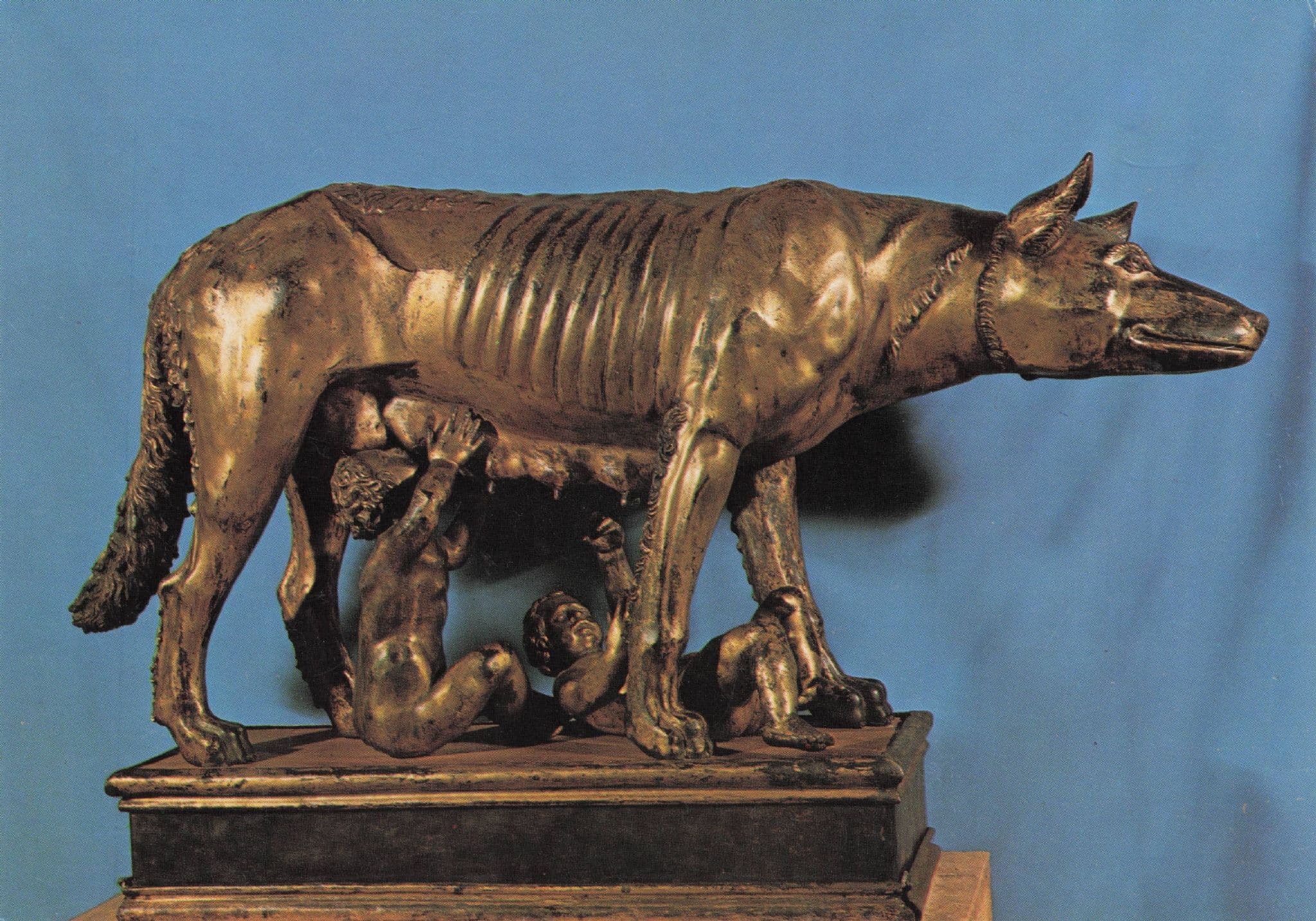Giovanni Lorenzo Turini Lupa Old Bronze Cattle Sculpture Postcard