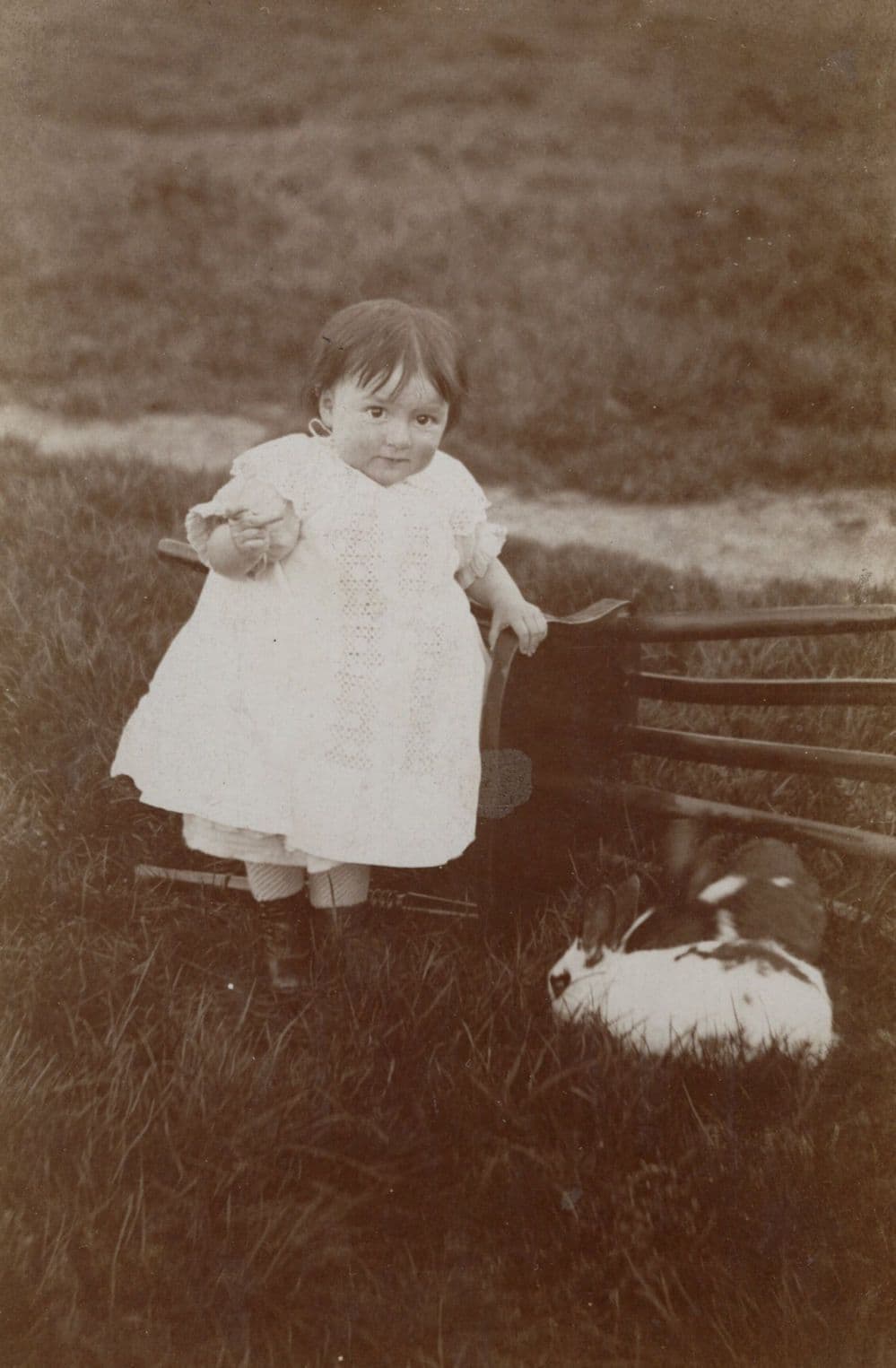 Girl Child Playing With Her Fat Pet Rabbit Antique Real Photo Postcard