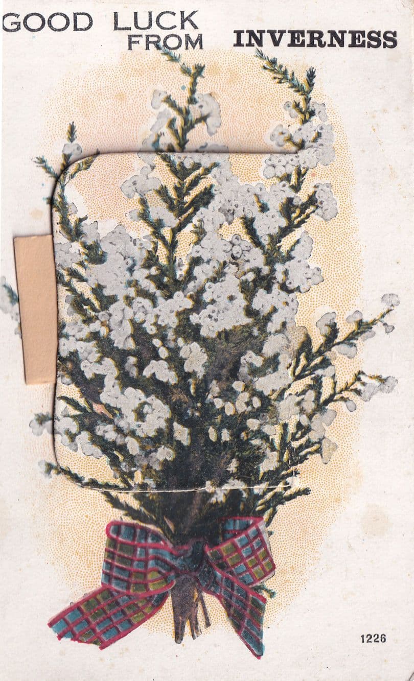 Good Luck From Inverness Mailing Novelty Scottish Postcard