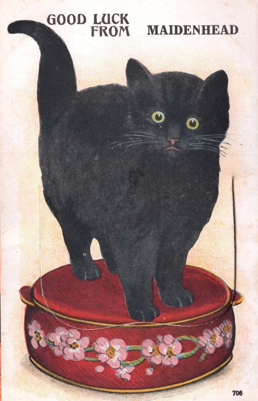 Good Luck From Maidenhead Berks Cat Novelty Mailing Old Postcard