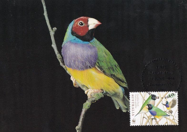 Gouldian Finch Australia Bird Stamp Rare WWF First Day Cover Postcard