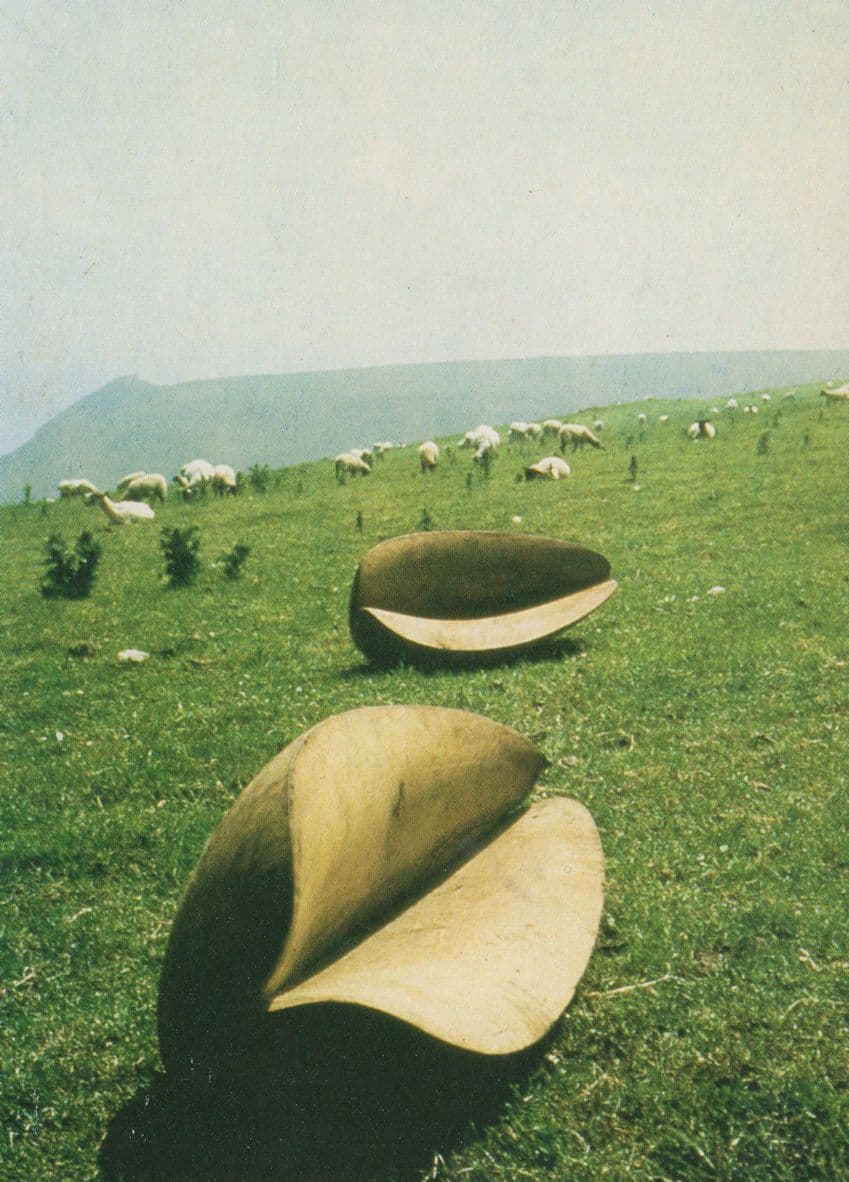Grains Of Wheat Simon Thomas Rare Book Launch Advertising Postcard