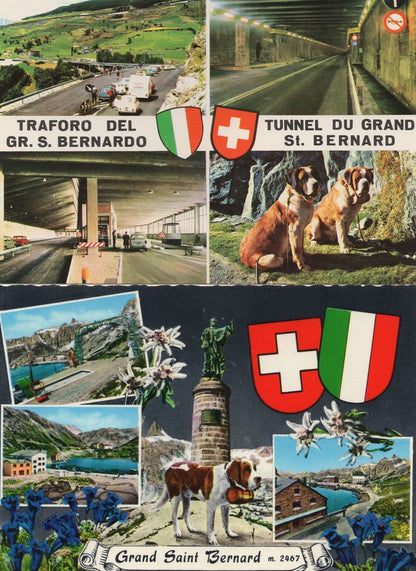 Grand St Bernard French 4x Hospice Old Dog Tunnel Postcard s