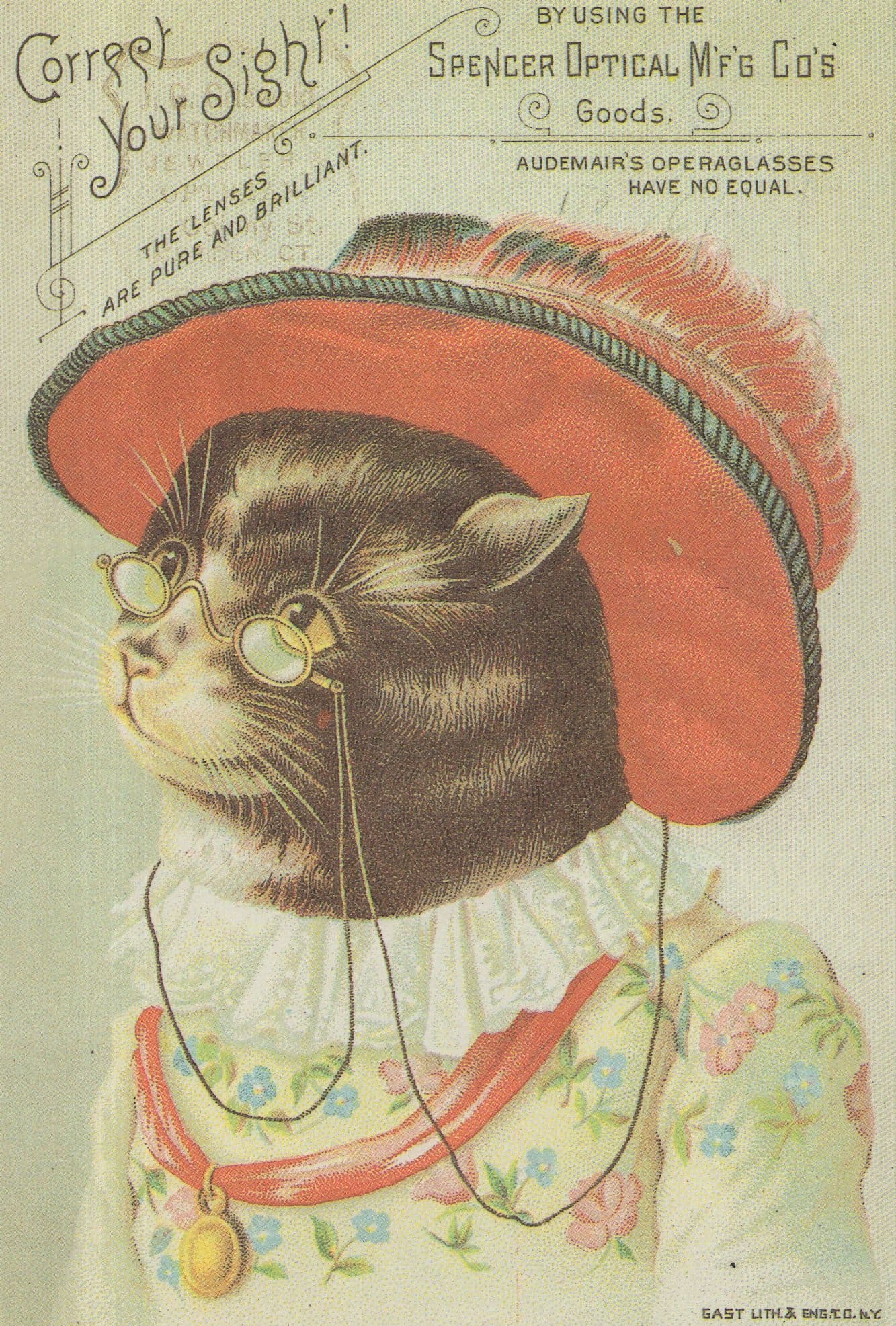 Grandma Cat Advertising Spencer Opticians Optical Goods Postcard