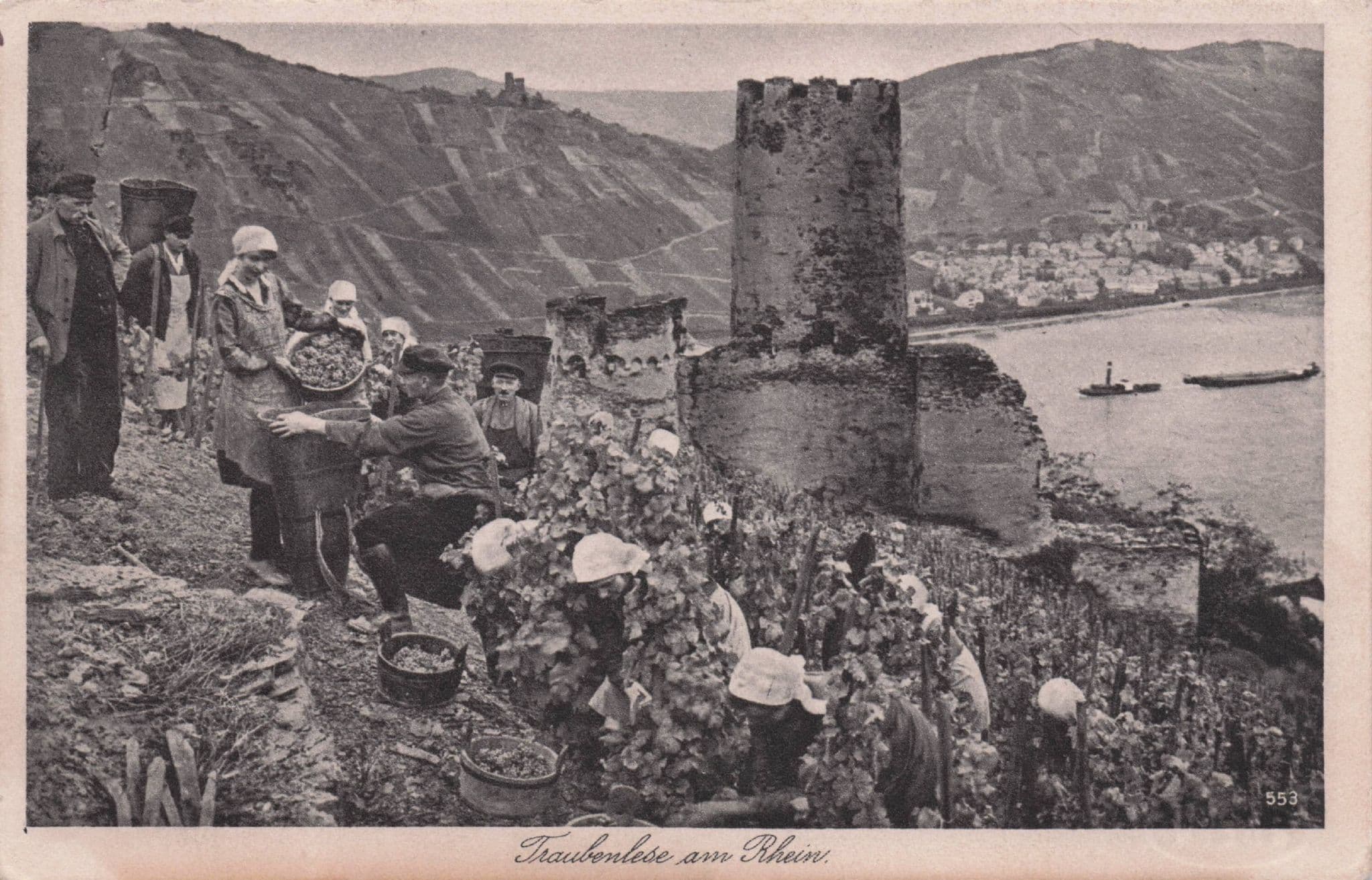 Grape Pickers Wine Harvest in Wachau Rhein Antique German Postcard