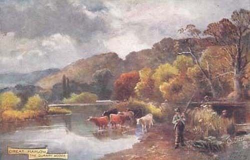 Great Marlow Quarry Woods Vintage Bucks Postcard Oilette