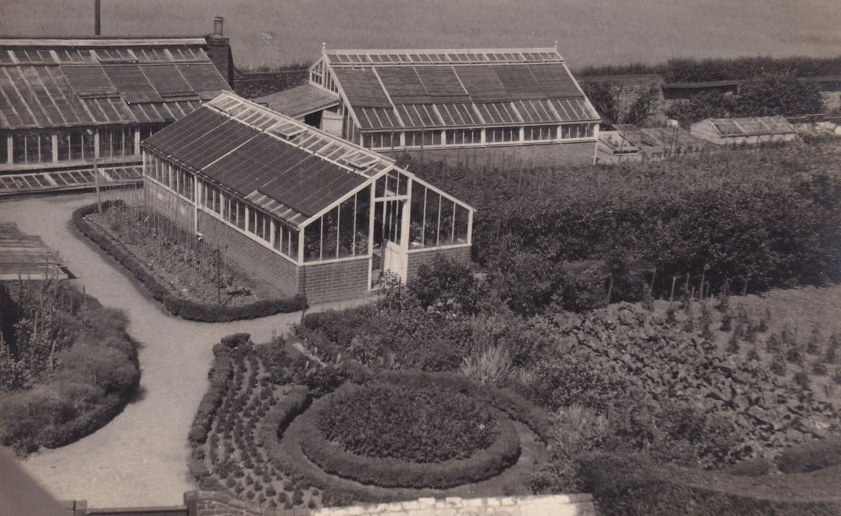 Greenwoods Stock Essex West Ham Central Mission Aerial Birds Eye Old Postcard