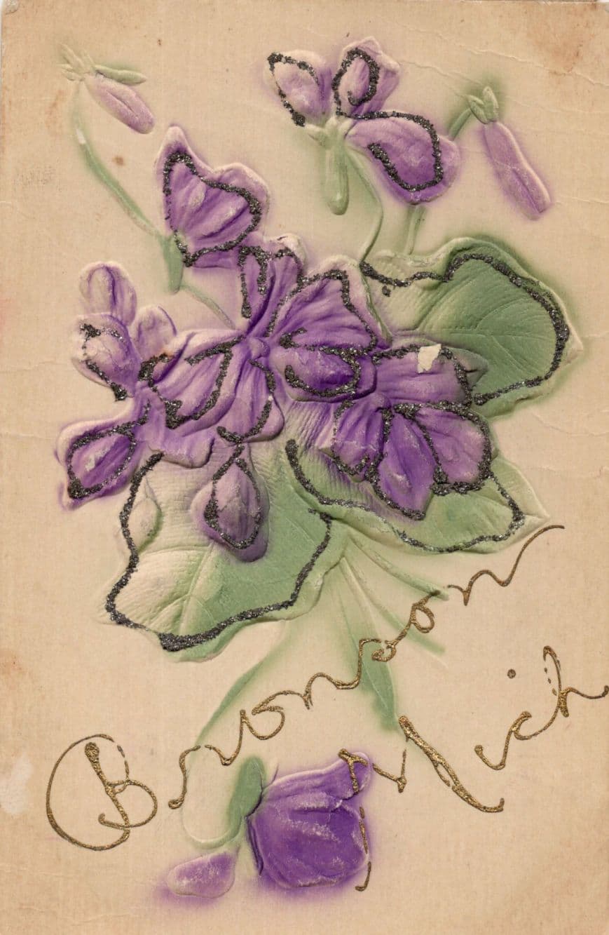 Greetings Bronson Michigan Flowers USA Embossed Glitter Old Postcard