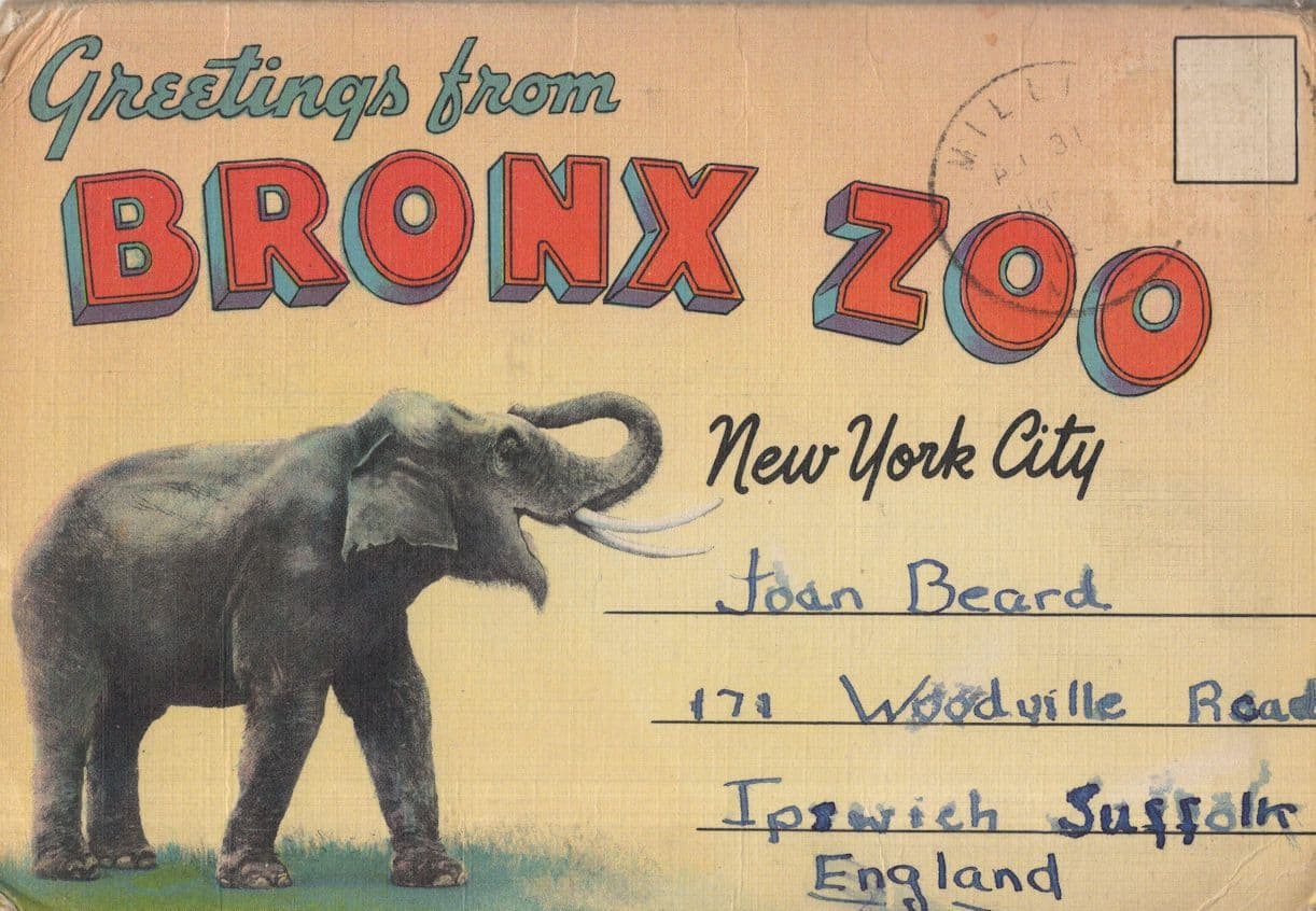 Greetings From Bronx Zoo USA Old Folding Postcard Book