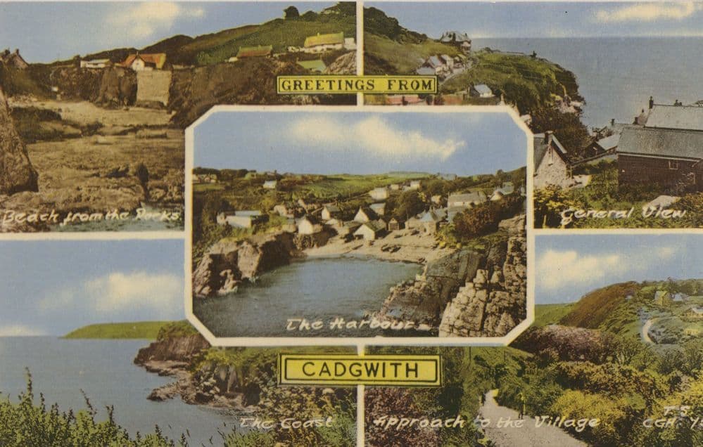 Greetings From Cadgwith Cornwall Fishing Village 1950s Postcard