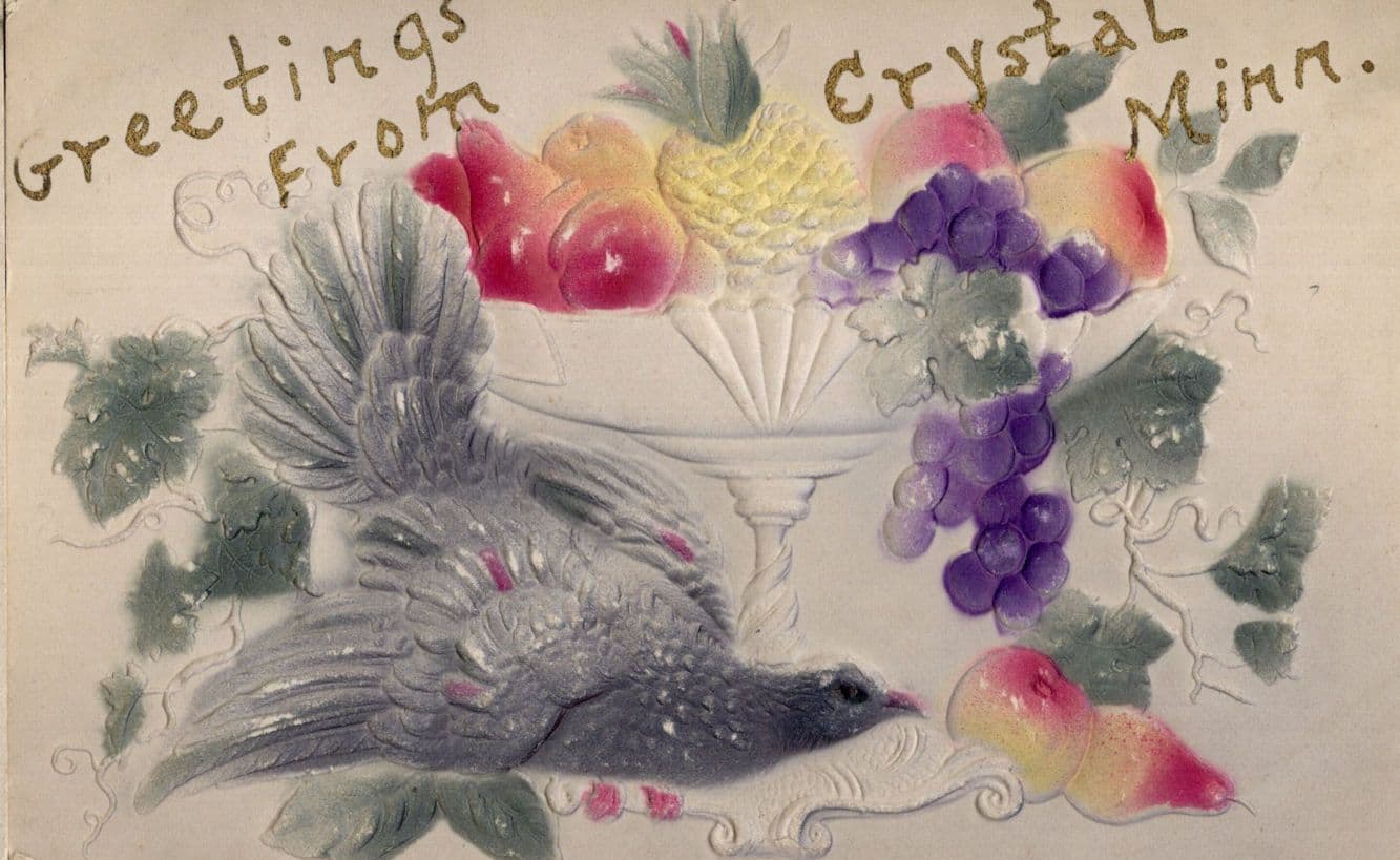 Greetings From Crystal Minnesota USA Relief Antique Bird Postcard