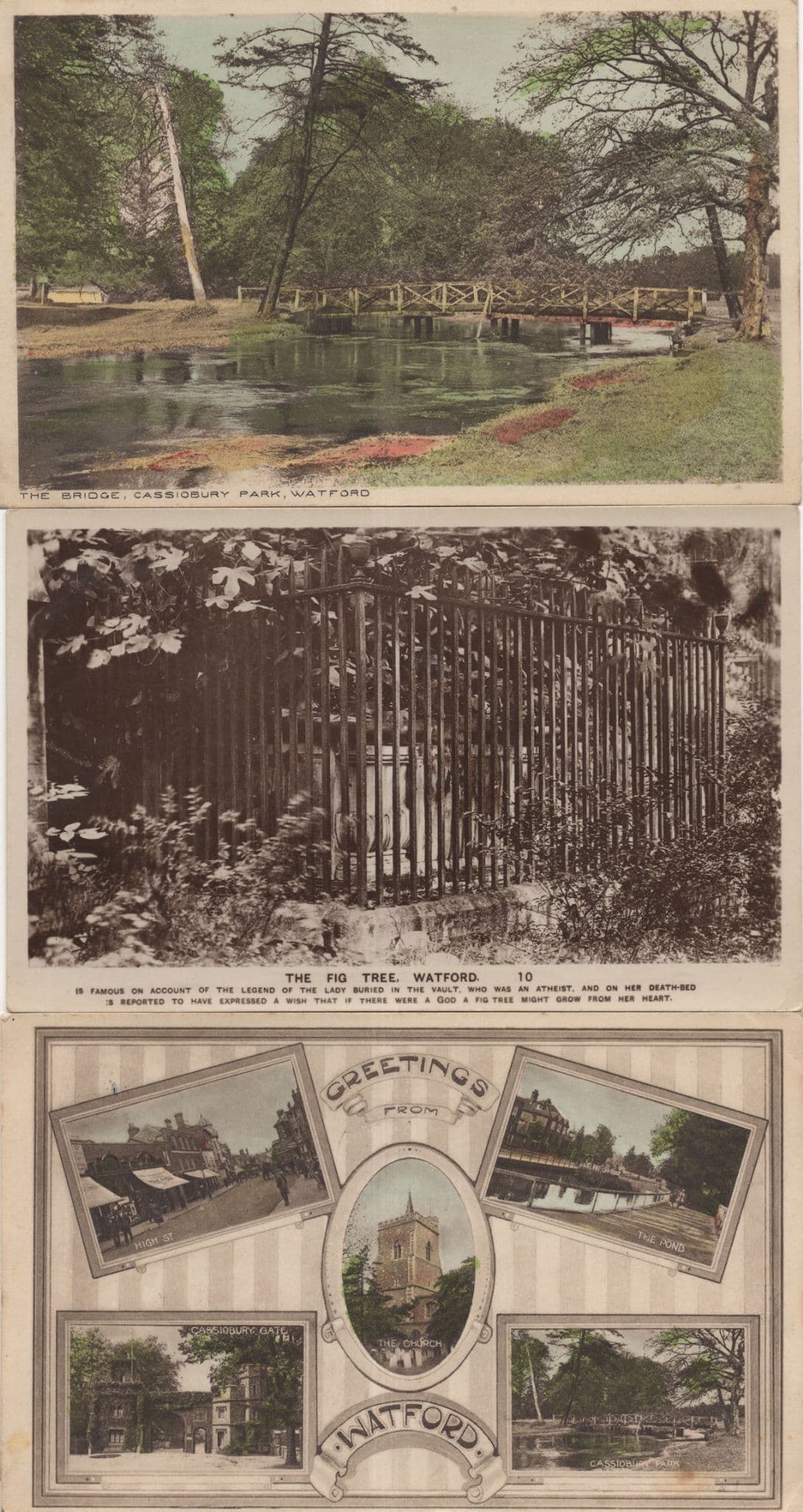 Greetings From Watford Bridge Fig Tree Herts 3x Old Postcard s