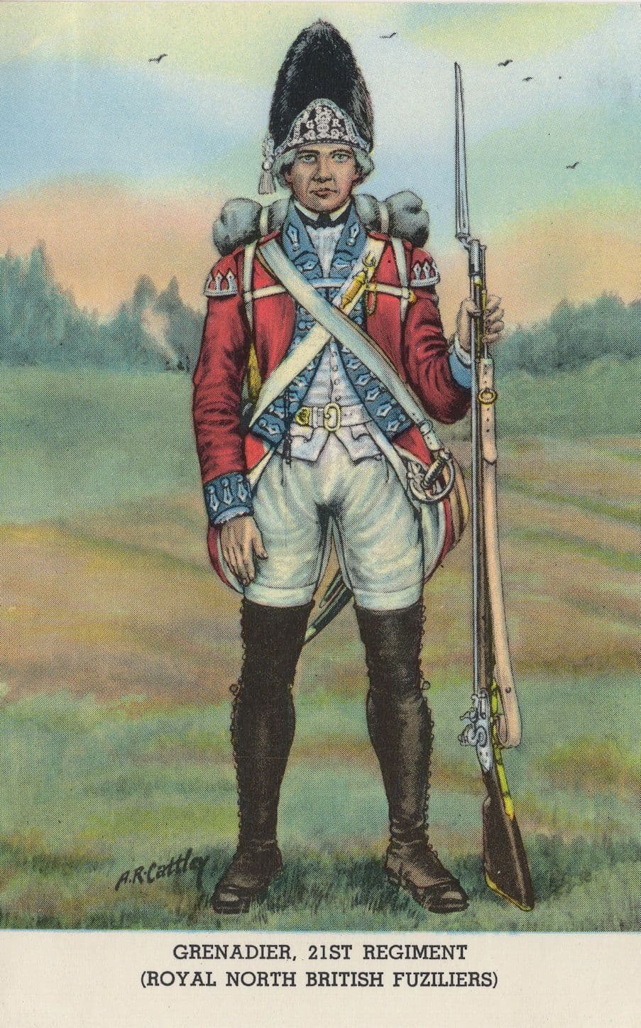 Grenadier 21st Regiment Royal North British Fusiliers Postcard