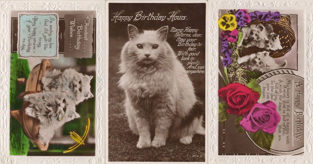 Grey Kittens & Cats 3x Birthday Greetings RPC Old WW2 Postcard s