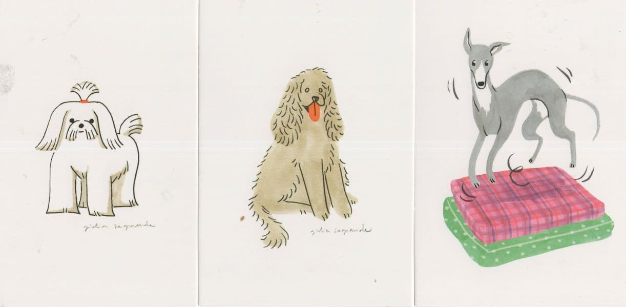 Greyhound Racing On Bed Poodles Dogs Posh Fur 3x Postcard s