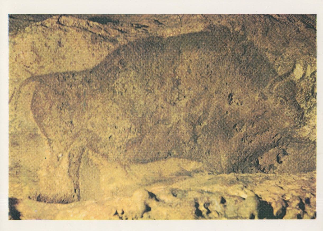 Grotte De Font De Guane En Perigord Animal Mural Postcard