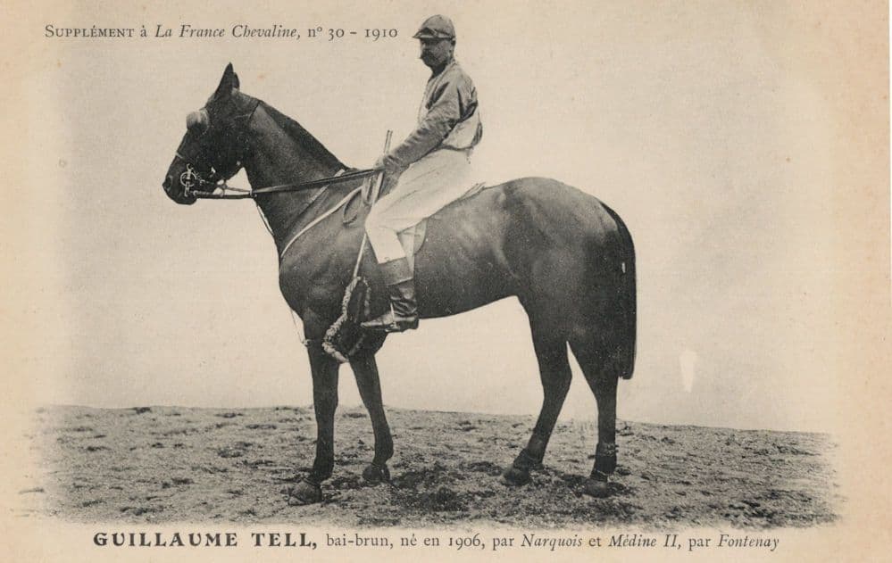 Guillaume Tell La France Chevaline 1906 Race Horse & Jockey PB Postcard