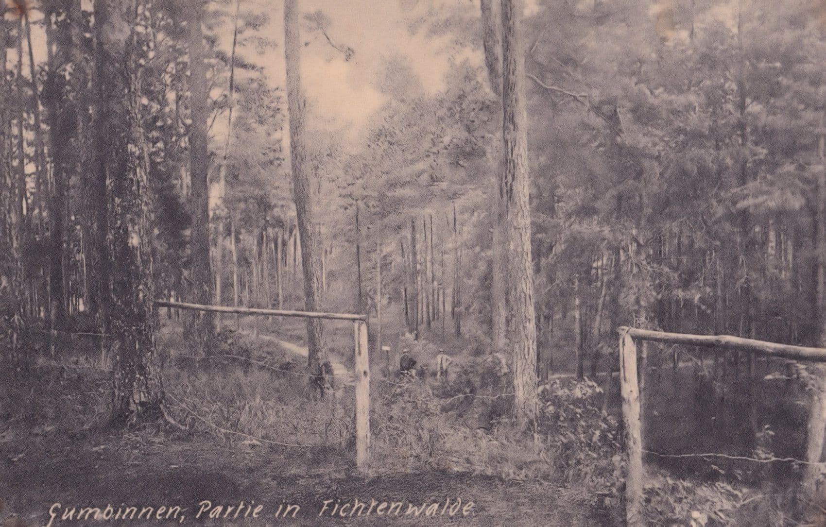 Gumbinnen Partie In Tichtenwalde Prussia Antique Postcard