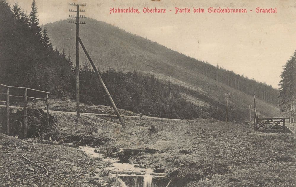 Hahneklee Im Oberharz Hohenluftkurort German Old Postcard