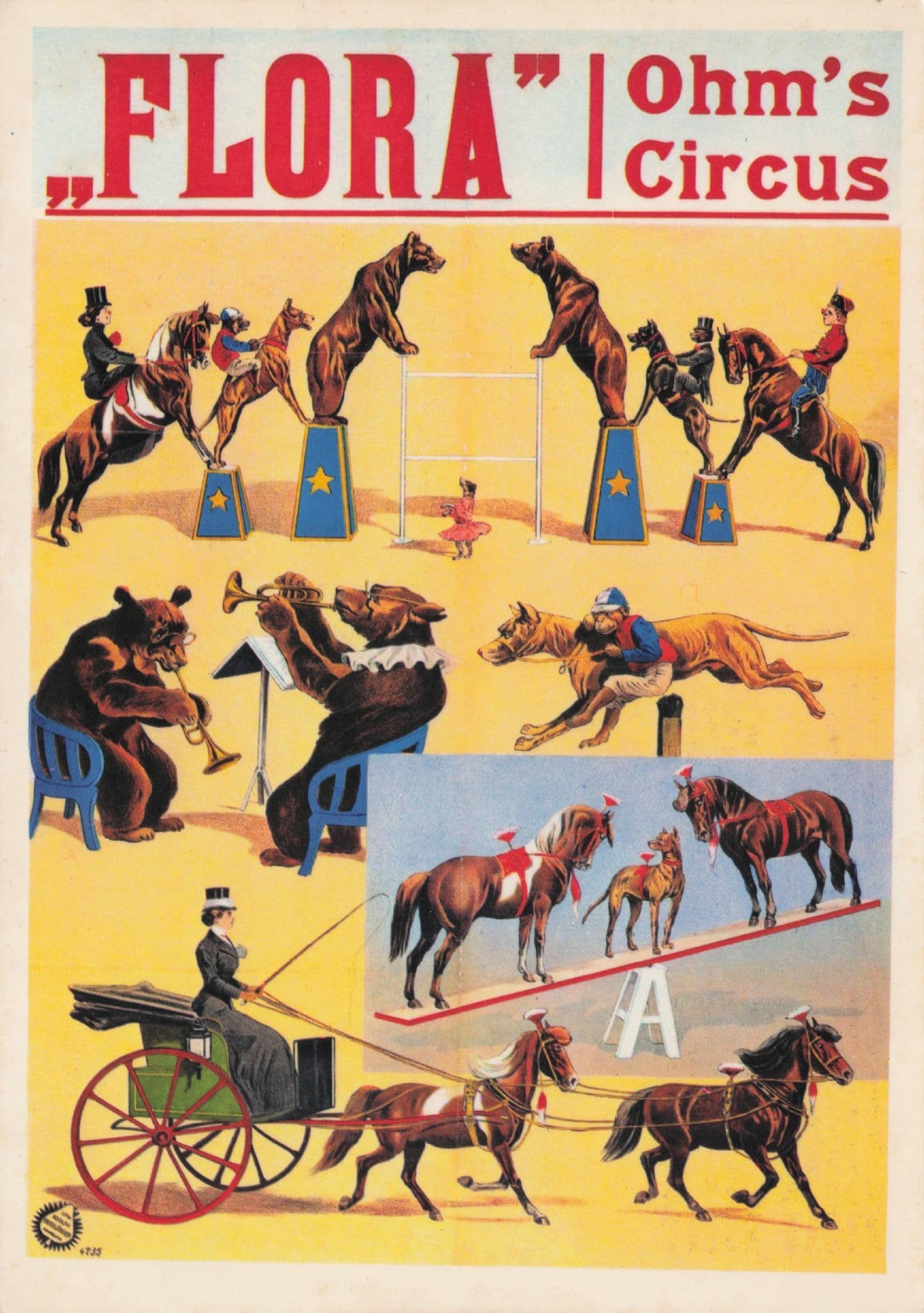 Hamburg Oltona German 1908 Ohms Animal Circus Poster Postcard