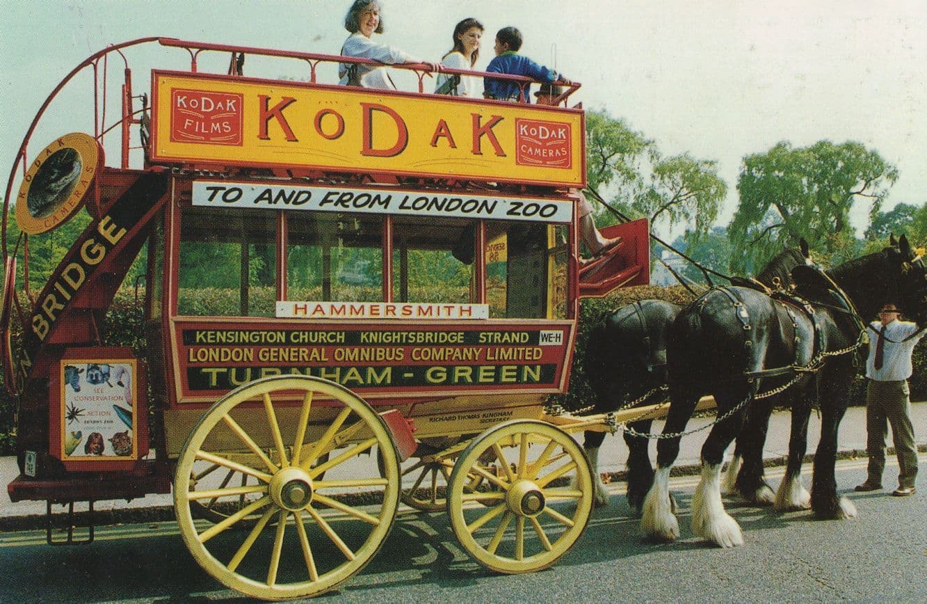 Hammersmith Turnham Green Kodak Camera Coach London Zoo Postcard