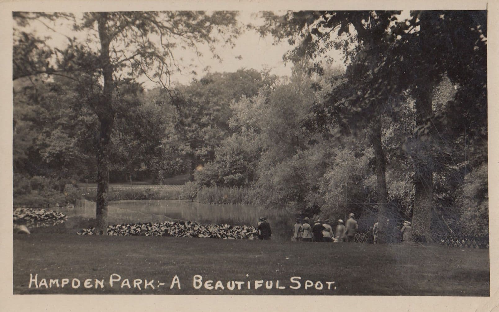 Hampden Park A Beautiful Spot Antique Real Photo Postcard