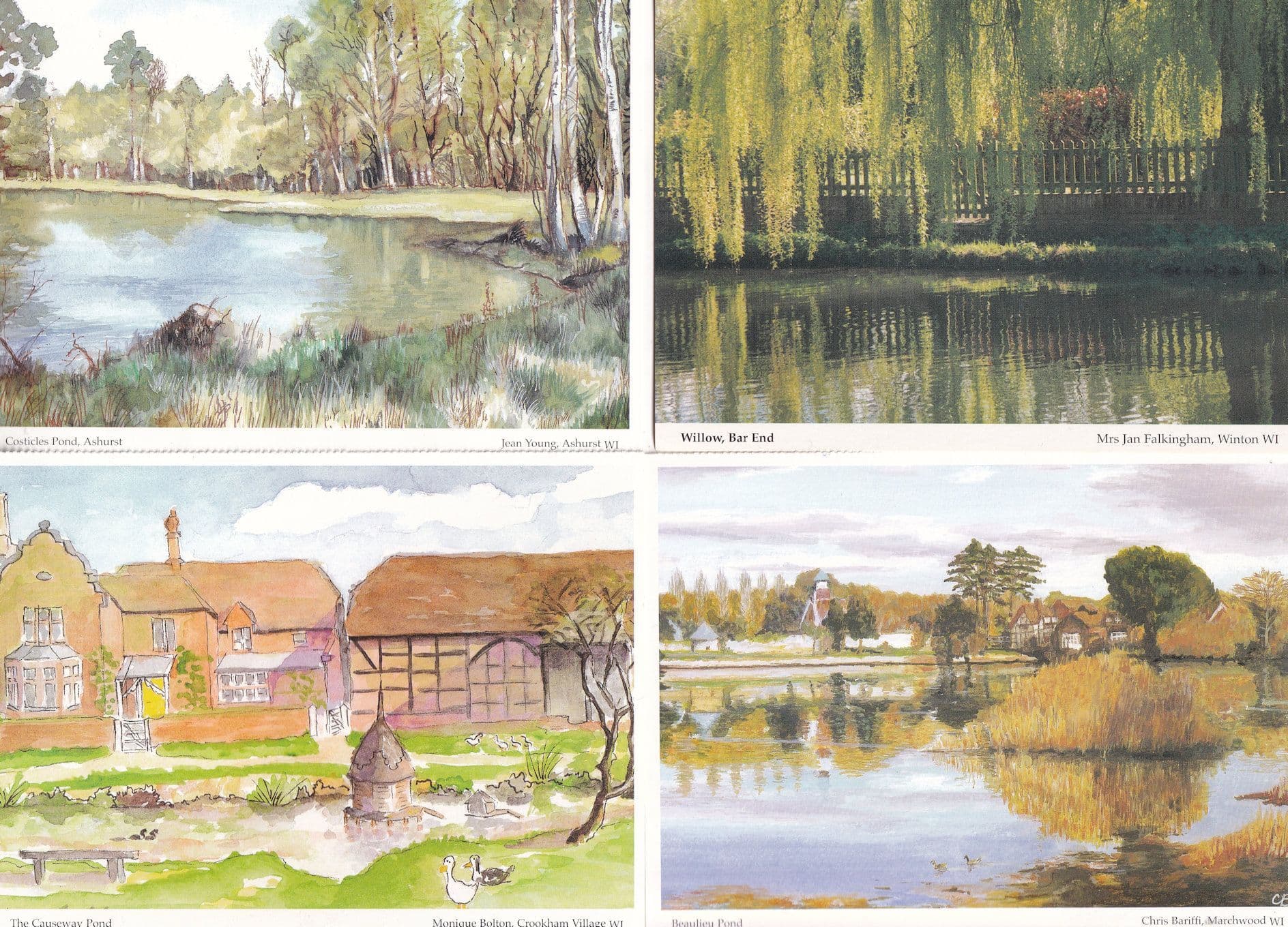 Hampshire Pond Causeway Bealieau Willow Bar End 4x Womens Institute Postcard s