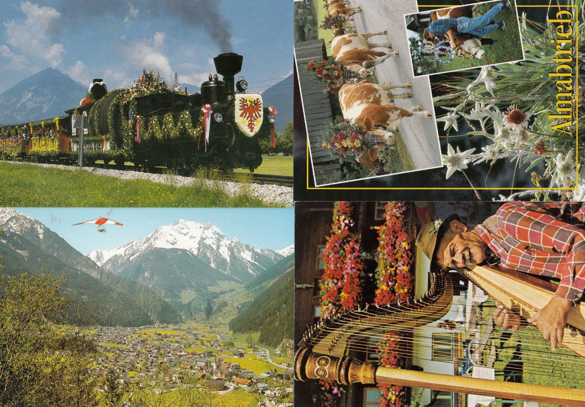Hand Glider in Austria Cow With Flower Hat Train 4x Mad Postcard s