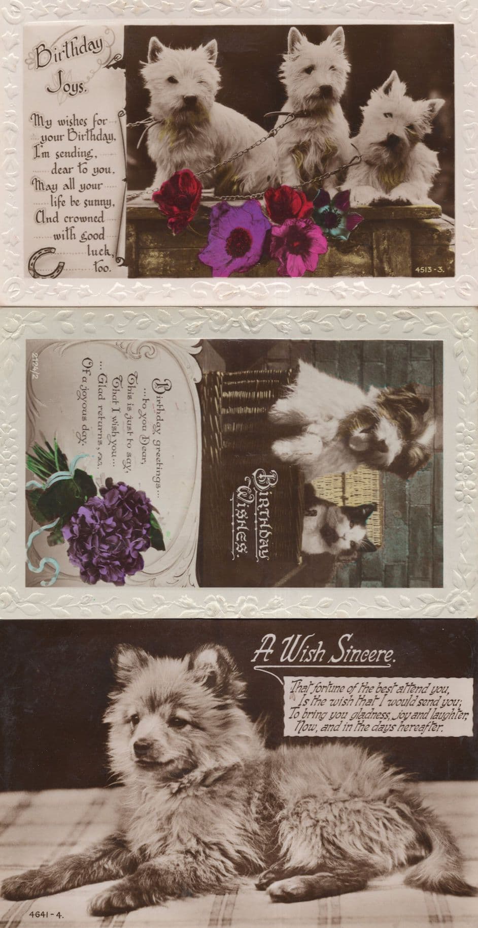 Happy Birthday 3x Dog Old Real Photo Postcard s
